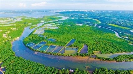 �Ĳ������Զ����վ�㸲������ ��ʵʱ���տ�������״��