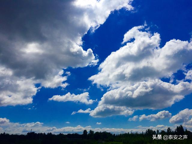 ̩��ȫ��������������Զ����վ����