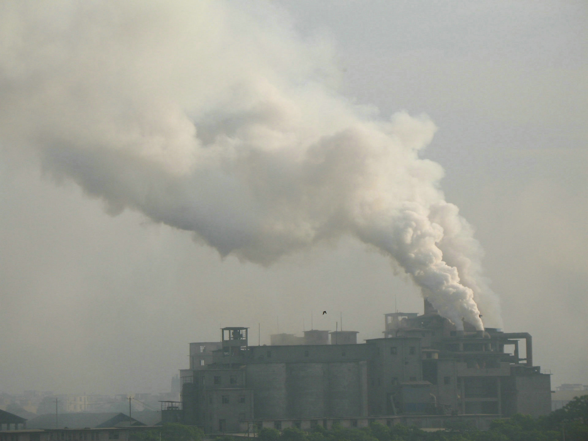 ����ʡ��̬������2019��2���������ŷ�����ʵ¼