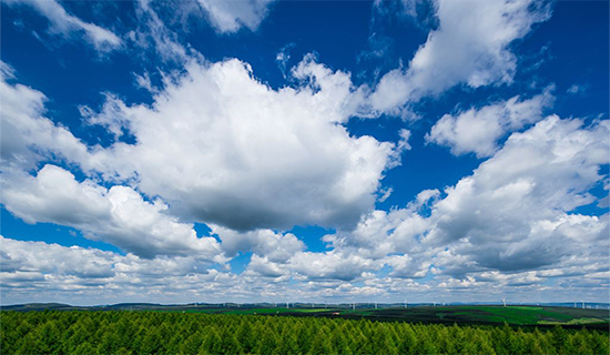 �е��ж�ٴ�����������Ⱦ��Ӯ���챣��ս