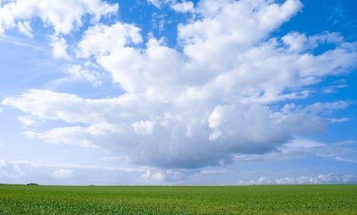 �ӱ��ƶ��ﶬ��������Ⱦ���ι���