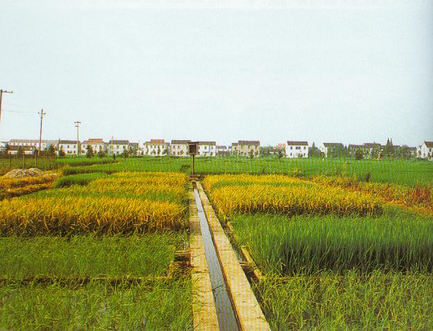 μ����2020-2021���ﶬ��������Ⱦ�ۺ����������ж�����