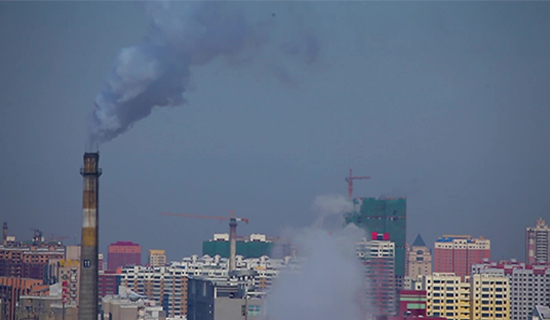 ������2021��2022���ﶬ��������Ⱦ���ι����ж�����