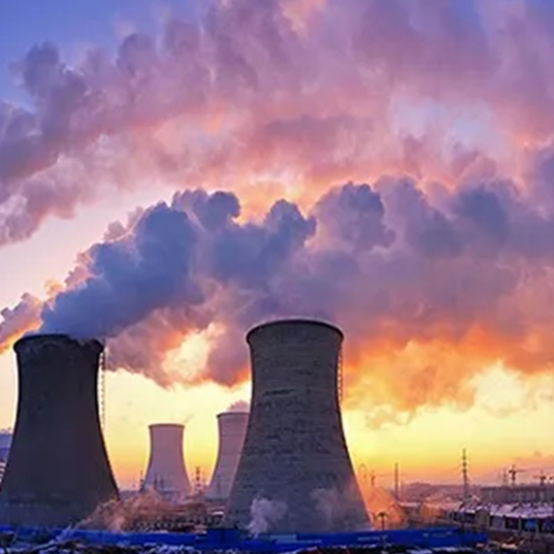 �����Ż����������������������ϸ����������