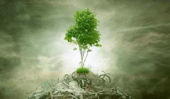 �����ƶ�������Ⱦ����������ؼ�Ч