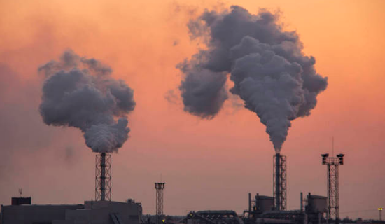 ��������̬�����ֺ׳Ƿ־֣���ȡ�ߺ�����ֶ� ����������Ⱦ����