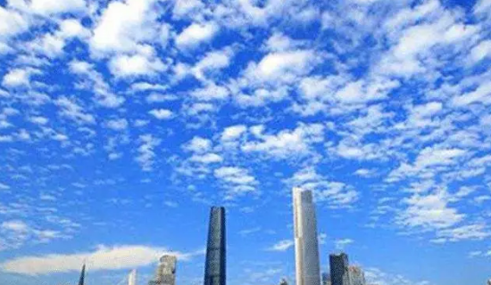 ��������̬�����ֺ�ץ������Ⱦ����