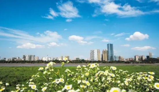 ��ʡ��ȷ���ػ����족Ŀ�� 2025�������������Ⱦ����