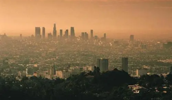 ����԰����������΢�Ϳ��������Զ����վ