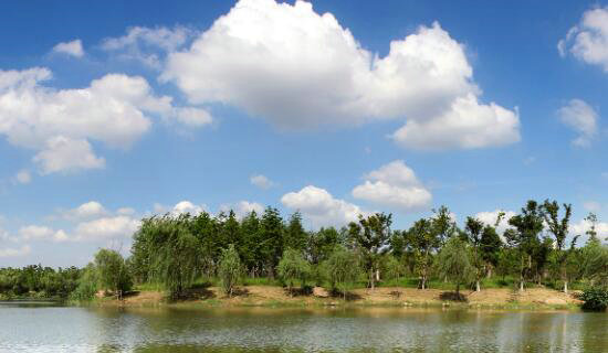 ��˹��΢�ͻ��������������ϵͳ�����������Զ����ϵͳӦ�ý������