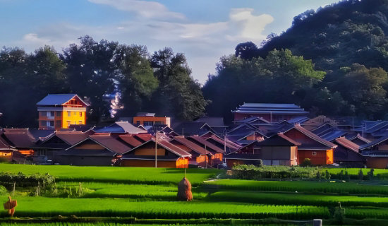 ��Яʽ��������ʵʱ���߼����΢��վ ���������ƶ�����������Ⱦִ�����