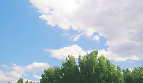 ��˹��΢�ͻ��������������ϵͳ��ʵʱ��������ȾԴ ������Ӧ�������ۼ��ŵĺ�۷���