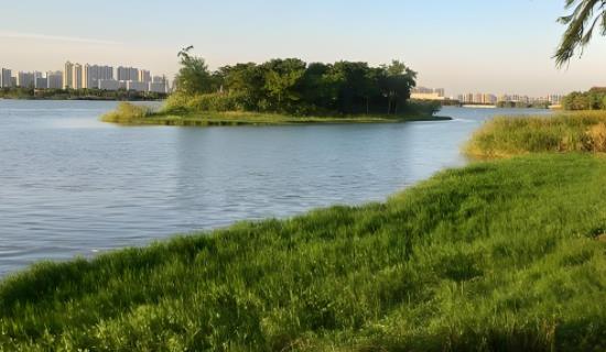 ��̬��������Ȼ�������������߼��ϵͳ ��ʱ���տ��������仯���� Ϊ��̬���������ṩ��ѧ����