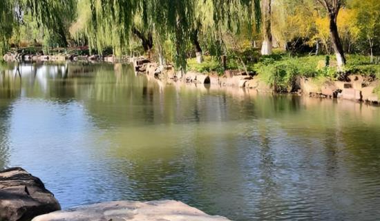 ��������Ȼ������΢�Ϳ������վ �ṩֱ�ۿ���������Ϣ �Ż���������